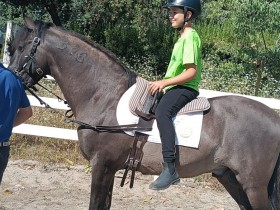 hipismo_5